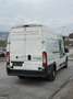 Fiat Ducato maxi Hoch - thumbnail 4