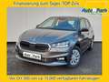 Skoda Fabia 1.0 TSI Selection NAVI/APP~LED~SHZ~PDC~GRA Gris - thumbnail 1