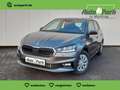 Skoda Fabia 1.0 TSI Selection NAVI/APP~LED~SHZ~PDC~GRA Gri - thumbnail 1