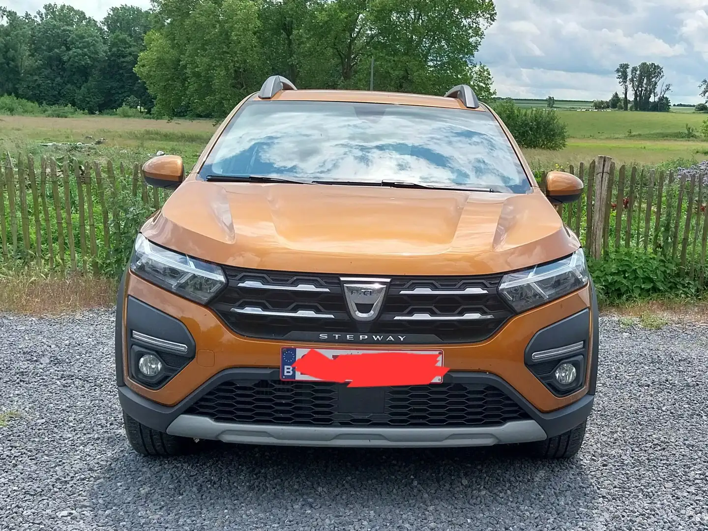 Dacia Sandero Sandero Stepway LPG 1.0 ECO-G Stepway Bronze - 1