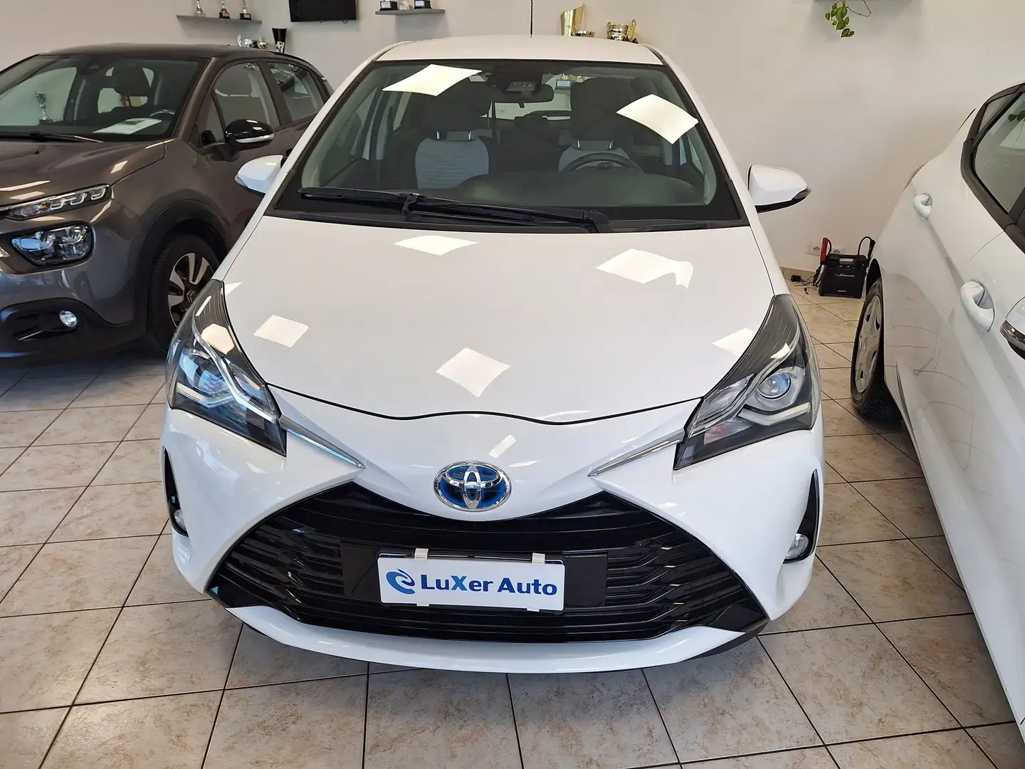 Toyota Yaris 5p 1.5h Business Wit - 1
