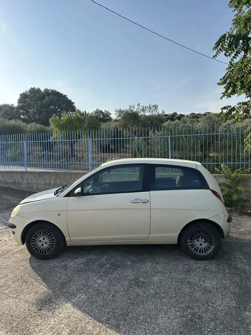 Lancia Ypsilon 1.3 mjt Argento 100 Beige - 2