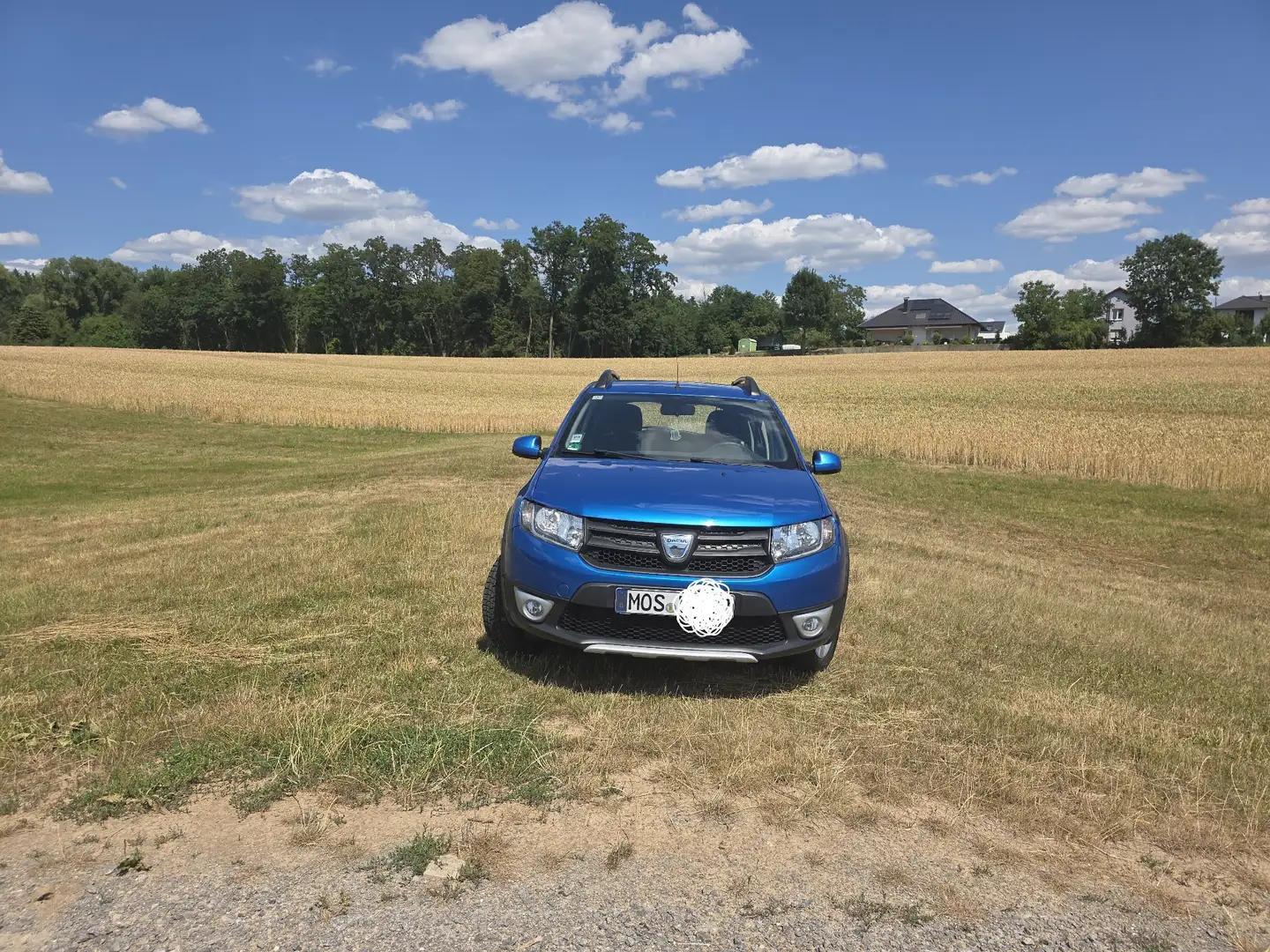 Dacia Sandero Stepway - 1