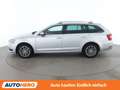 Skoda Octavia 2.0 TDI Style Limited Grau - thumbnail 3