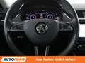 Skoda Octavia 2.0 TDI Style Limited Grau - thumbnail 19