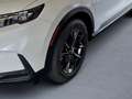 Honda CR-V e:HEV Elegance AWD Biały - thumbnail 6