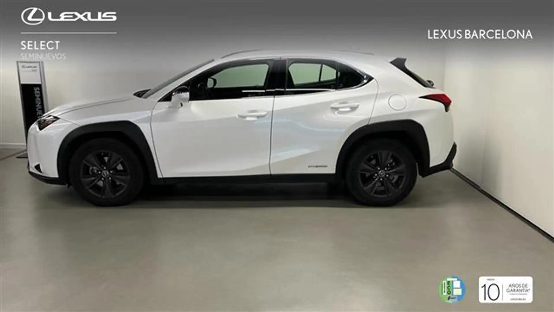 Lexus UX 250h Business 2WD - 2