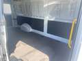 Volkswagen Crafter Kasten langer Radstand 35 "EcoProfi" LR Blanc - thumbnail 14