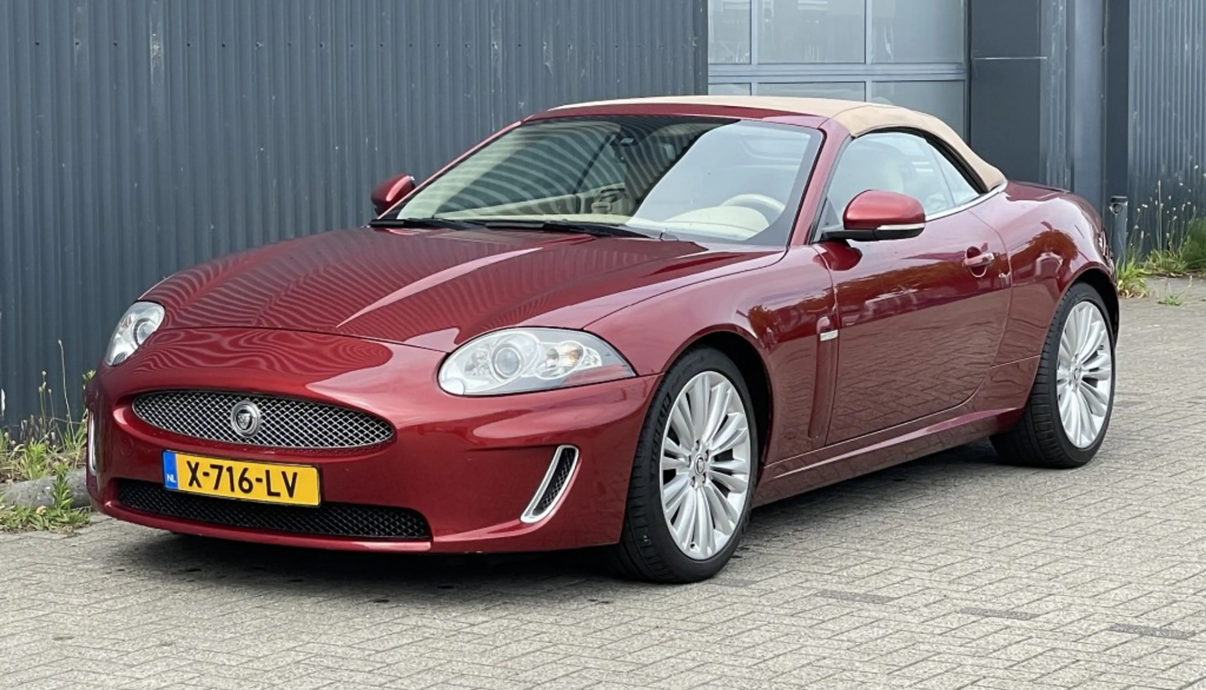 Jaguar XK V8 Convertible Portfolio 5.0 — photo 4