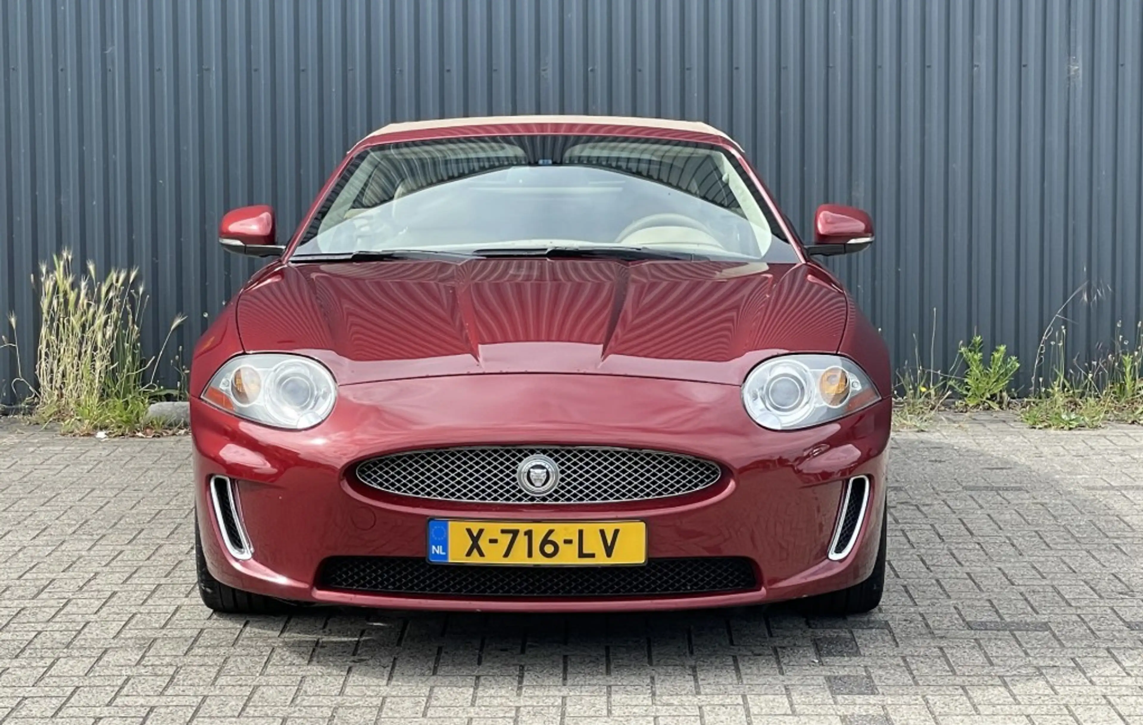 Jaguar XK V8 Convertible Portfolio 5.0 — photo 7