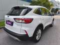 Ford Kuga 2.0 EcoBlue Titanium AWD Aut.,* 4x4, LED, Navi,..* Weiß - thumbnail 6