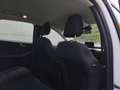 Ford Kuga 2.0 EcoBlue Titanium AWD Aut.,* 4x4, LED, Navi,..* Weiß - thumbnail 13