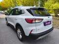 Ford Kuga 2.0 EcoBlue Titanium AWD Aut.,* 4x4, LED, Navi,..* Weiß - thumbnail 4