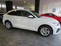 Audi Q5 Sportback 35 TDI S tronic Blanc - thumbnail 7