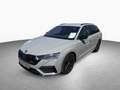Skoda Octavia Combi RS 2.0 TDI 7-DSG *AHK*NAVI Grigio - thumbnail 11