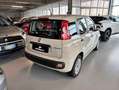 Fiat Panda Panda 0.9 T.Air Turbo 85 CV S&S Easy Dualogic 2016 Beige - thumbnail 4