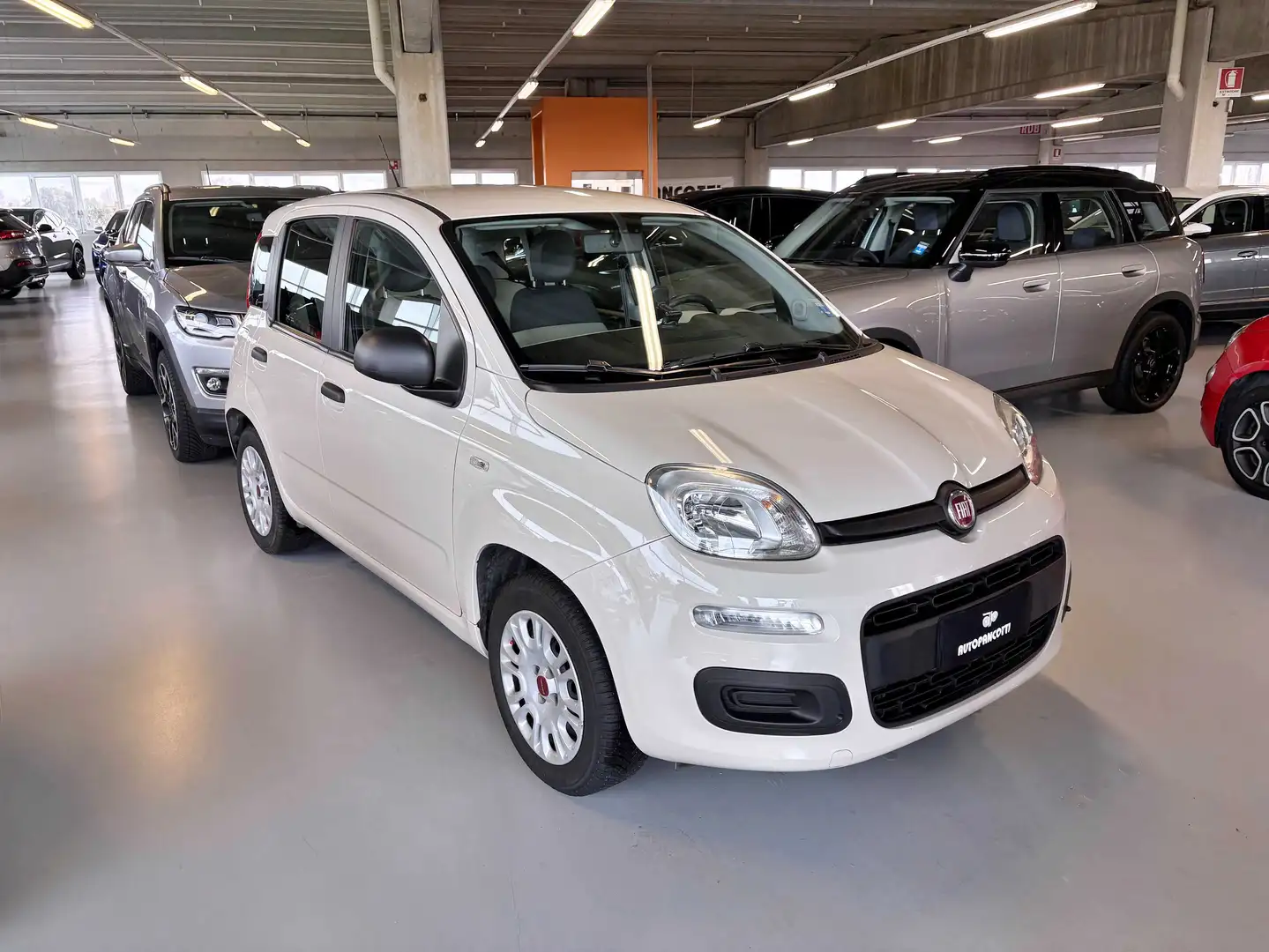 Fiat Panda Panda 0.9 T.Air Turbo 85 CV S&S Easy Dualogic 2016 Beige - 2
