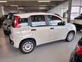 Fiat Panda Panda 0.9 T.Air Turbo 85 CV S&S Easy Dualogic 2016 Beige - thumbnail 3