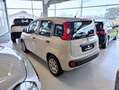Fiat Panda Panda 0.9 T.Air Turbo 85 CV S&S Easy Dualogic 2016 Beige - thumbnail 5