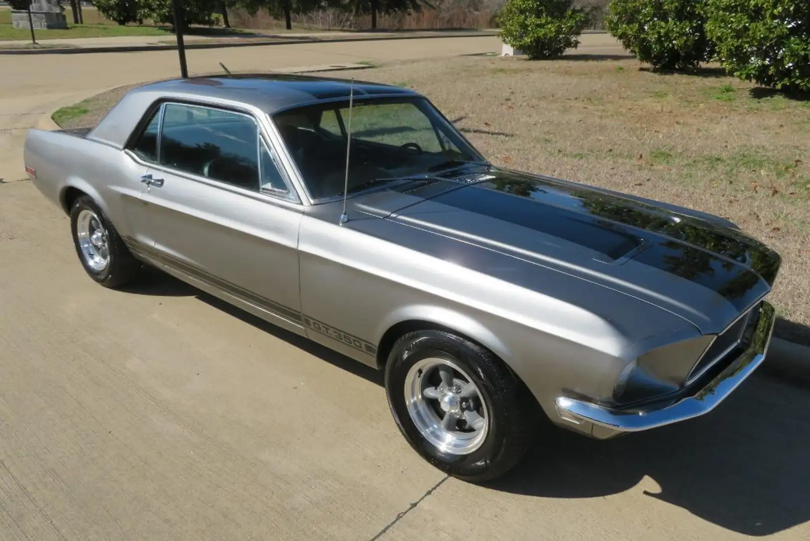 Ford Mustang GT350 - 2