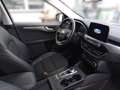 Ford Kuga 2,0 EcoBlue AWD Titanium X Aut. Grijs - thumbnail 12