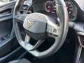 CUPRA Leon Sportstourer 1.5 eTSI DSG / AHK ACC Gris - thumbnail 8