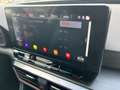 CUPRA Leon Sportstourer 1.5 eTSI DSG / AHK ACC Gris - thumbnail 15
