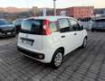 Fiat Panda 1.3 MJT S&S Pop IVA ESPOSTA Bianco - thumbnail 6