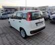 Fiat Panda 1.3 MJT S&S Pop IVA ESPOSTA Bianco - thumbnail 4