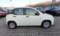 Fiat Panda 1.3 MJT S&S Pop IVA ESPOSTA Bianco - thumbnail 7