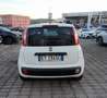 Fiat Panda 1.3 MJT S&S Pop IVA ESPOSTA Bianco - thumbnail 5