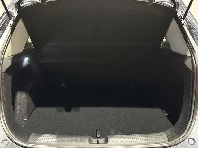 MG ZS view 7