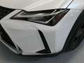 Lexus UX 250h 2.0 Business Blanco - thumbnail 33