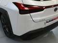 Lexus UX 250h 2.0 Business Blanco - thumbnail 31