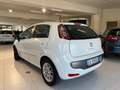 Fiat Punto Evo Punto Evo 1.4 5 porte S&S Dynamic Bianco - thumbnail 4