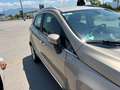 Ford EcoSport ECOSPORT 1.0 EcoBoost Aut. TITANIUM X - thumbnail 9