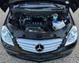 Mercedes-Benz B 200 CDI 1Hand Scheckheft SHZ PDC Leder S.Dach 6-Gang Schwarz - thumbnail 20