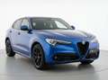 Alfa Romeo Stelvio Stelvio 2.2 Turbodiesel 210 CV AT8 Q4 Veloce - thumbnail 2