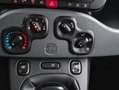 Fiat Panda 1.0 Hybrid 70CV City Life Blanco - thumbnail 14