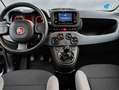 Fiat Panda 1.0 Hybrid 70CV City Life Blanco - thumbnail 8