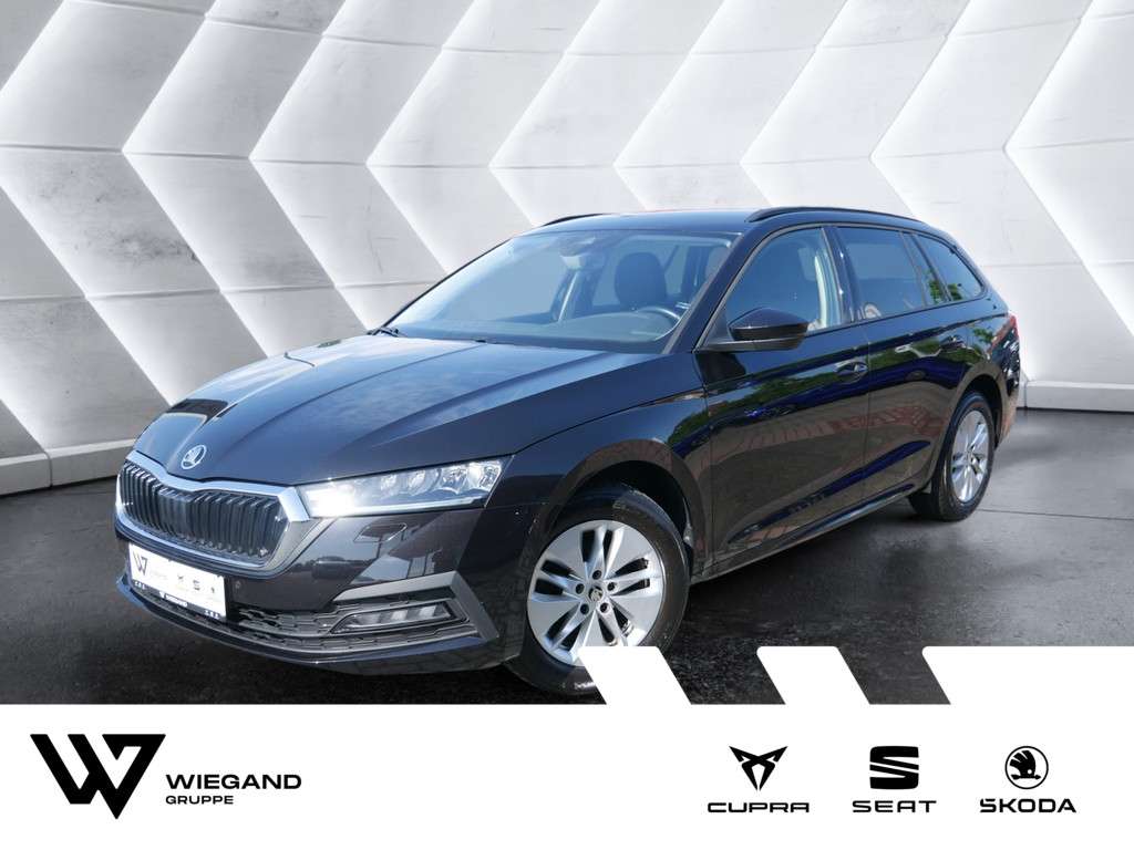 Skoda Octavia occasion