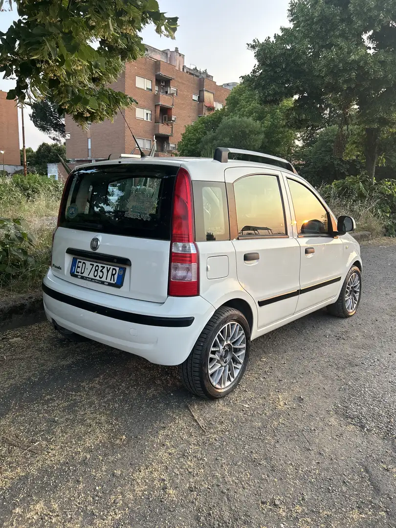 Fiat Panda 1.2 Dynamic Gpl - 1