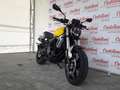 Voge VOGE TROFEO 350 AC SCRAMBLER Jaune - thumbnail 19