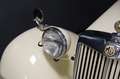 MG TD 1952 volledig gerestaureerd Weiß - thumbnail 16
