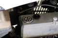 MG TD 1952 volledig gerestaureerd Weiß - thumbnail 15