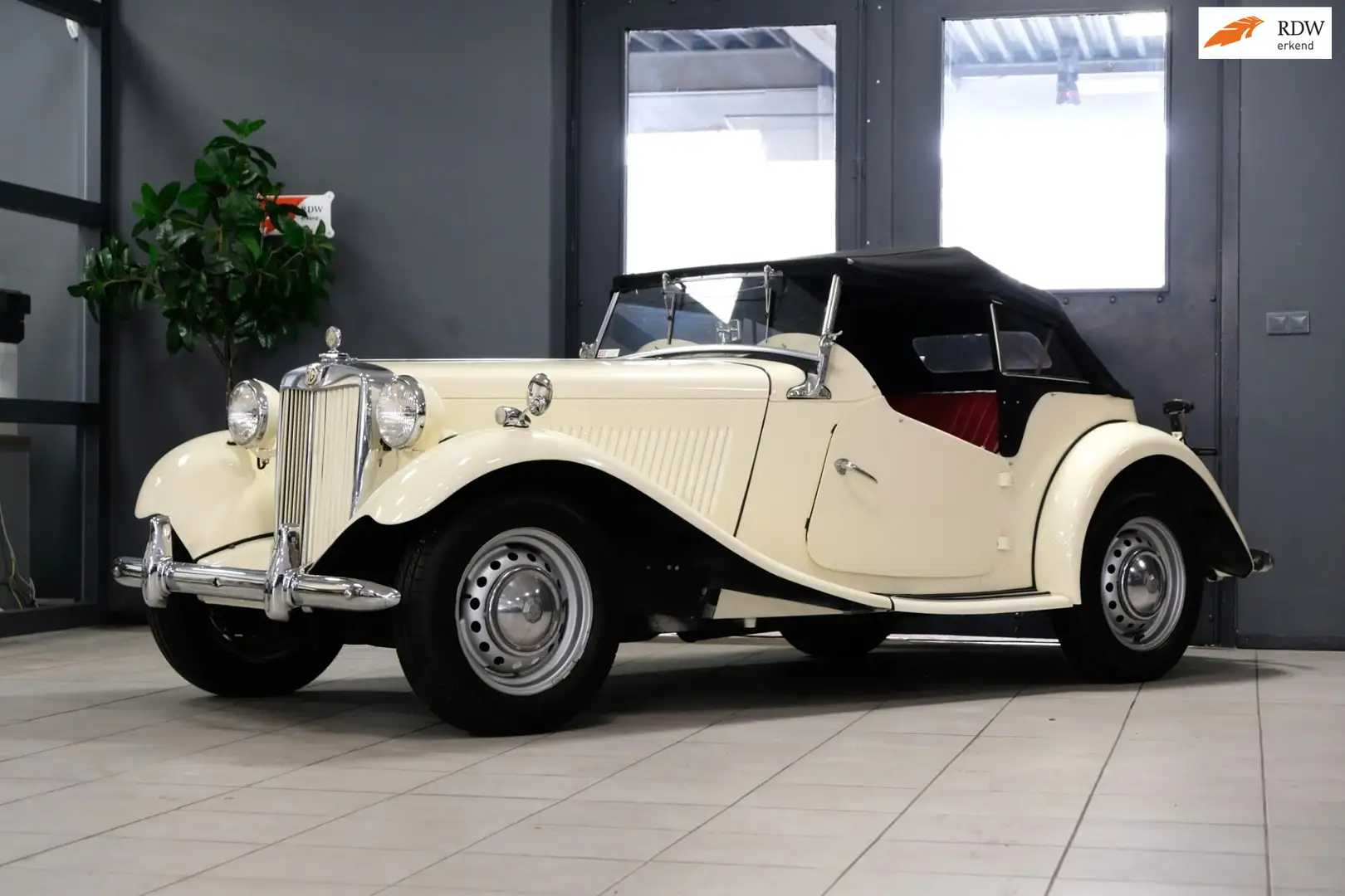 MG TD 1952 volledig gerestaureerd Weiß - 1