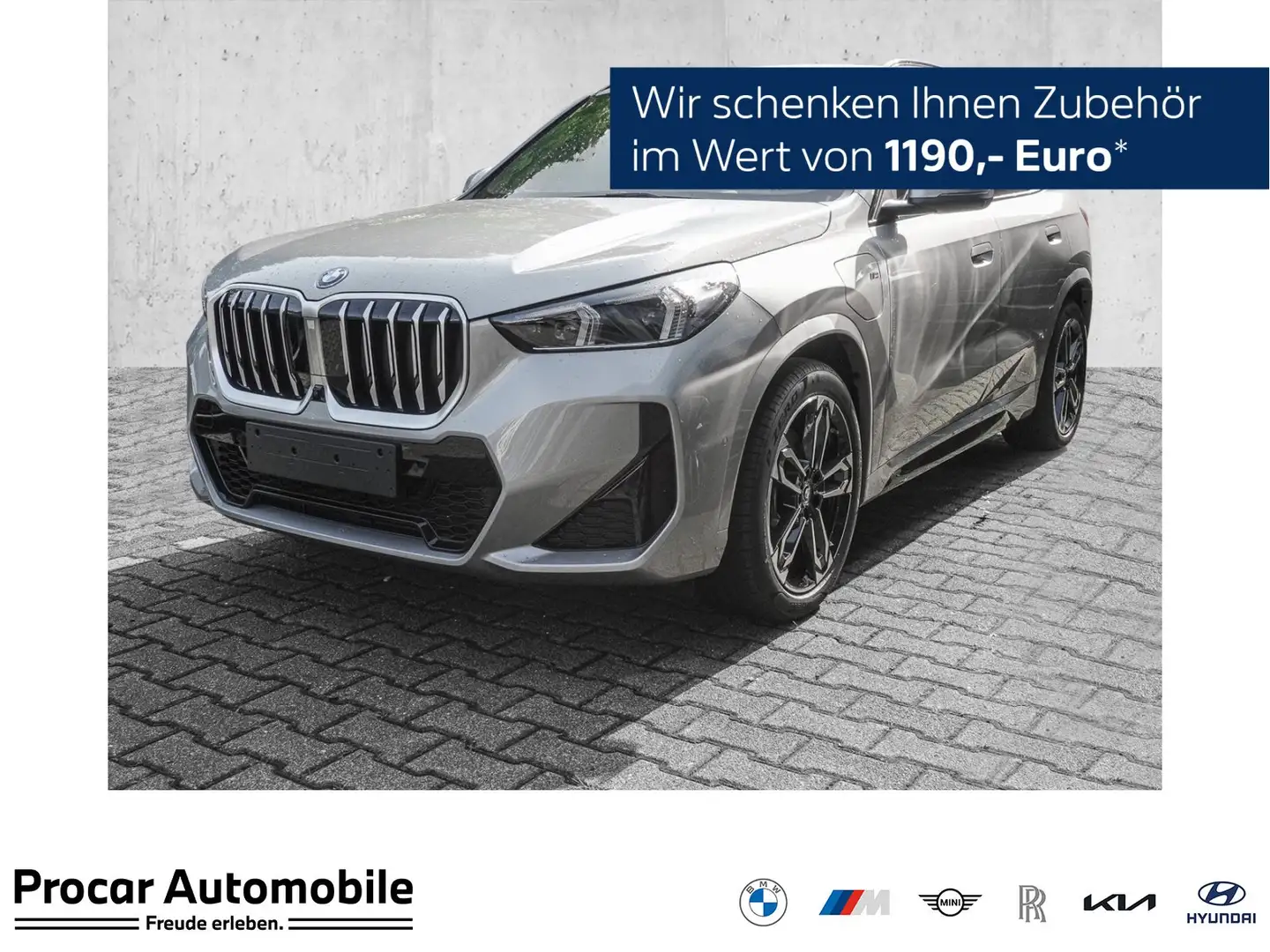 BMW X1 xDrive25e M Sport Inno.Pak. HUD DA.Prof PA.Plus LE Gris - 1