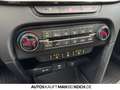 Kia Ceed / cee'd Ceed SW 1.5 T-GDI VOLL LED NAVI SH KAM TEILLEDER Grün - thumbnail 27
