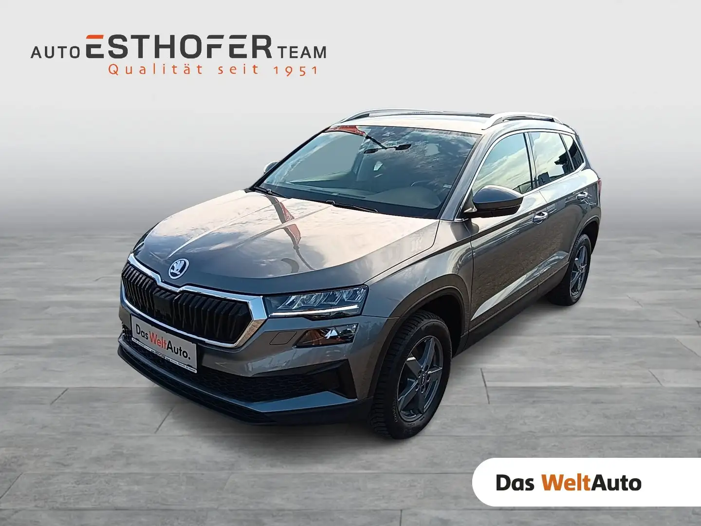 Skoda Karoq Style TSI DSG ACT Grau - 1