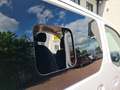 Nissan E-NV200 Evalia 40 kWh Connect Edition ROLSTOEL-AUTO Wit - thumbnail 22